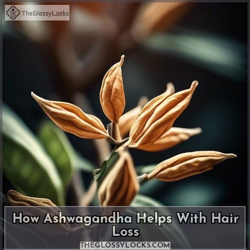 How Ashwagandha Helps With Hair Loss