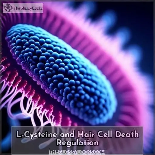 L-Cysteine and Hair Cell Death Regulation