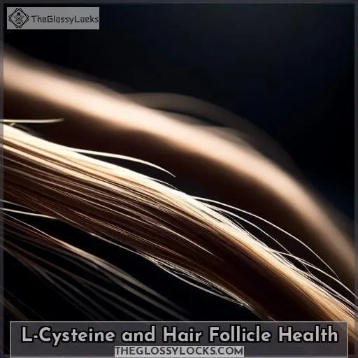 L-Cysteine and Hair Follicle Health