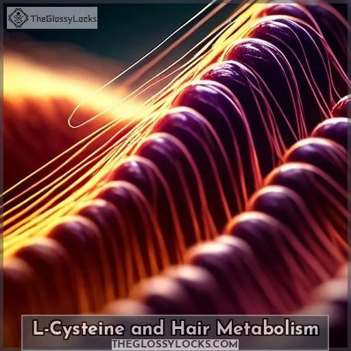 L-Cysteine and Hair Metabolism