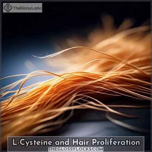 L-Cysteine and Hair Proliferation