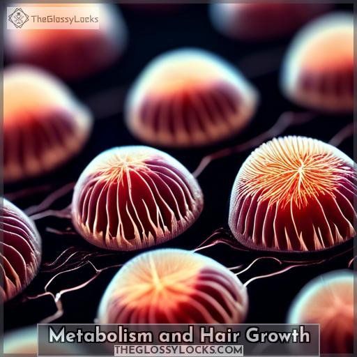 Metabolism and Hair Growth