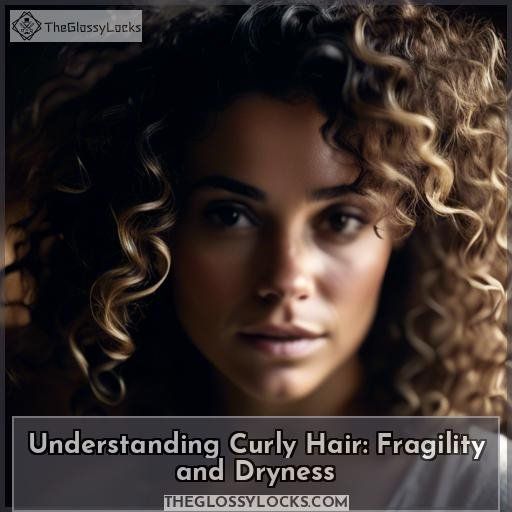 Understanding Curly Hair: Fragility and Dryness