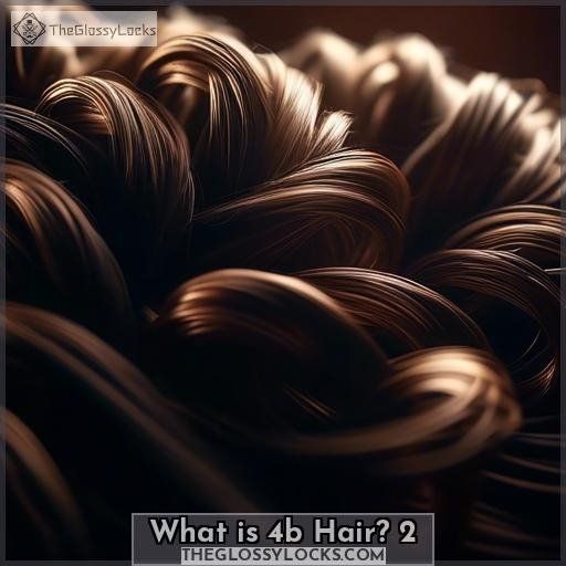 What is 4b Hair 2