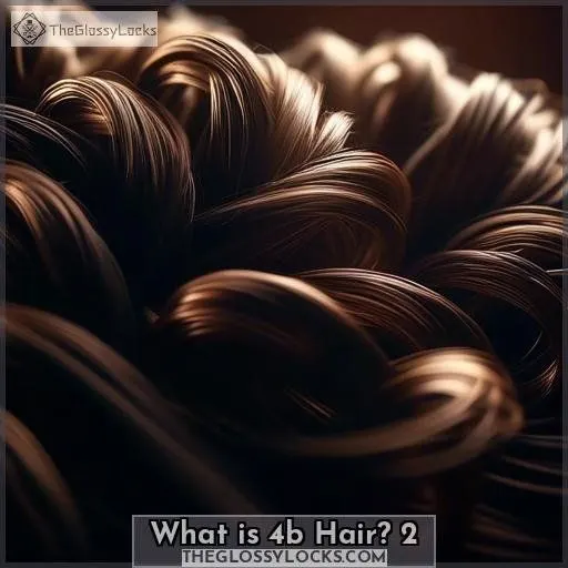 What is 4b Hair 2