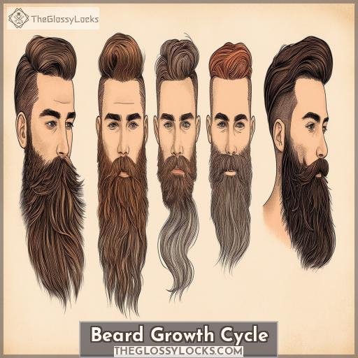 Beard Growth Cycle