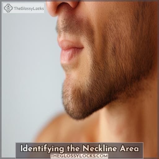 Identifying the Neckline Area