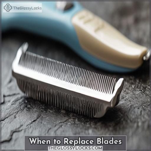 When to Replace Blades