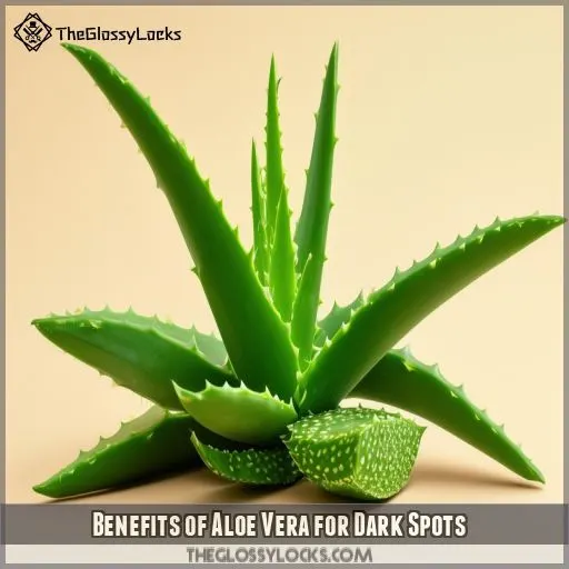 Benefits of Aloe Vera for Dark Spots