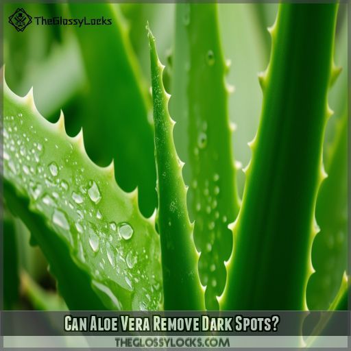 Can Aloe Vera Remove Dark Spots