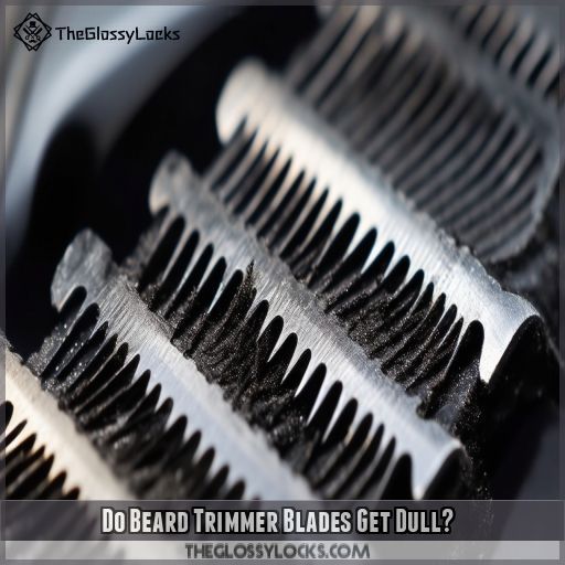 Do Beard Trimmer Blades Get Dull Do Beard Trimmer Blades Get Dull