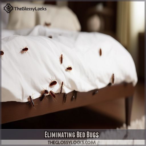 Eliminating Bed Bugs