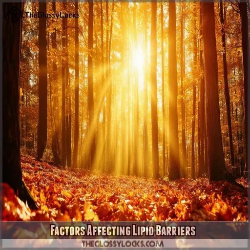 Factors Affecting Lipid Barriers