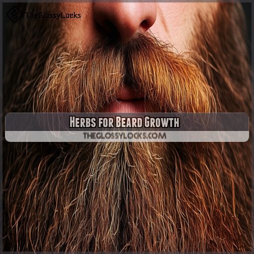 Herbs for Beard Growth