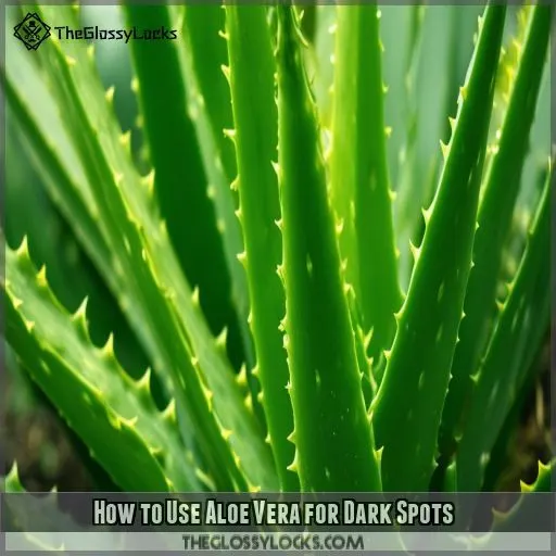 How to Use Aloe Vera for Dark Spots