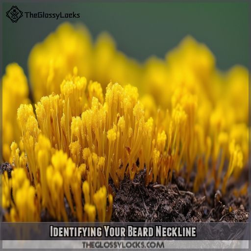 Identifying Your Beard Neckline
