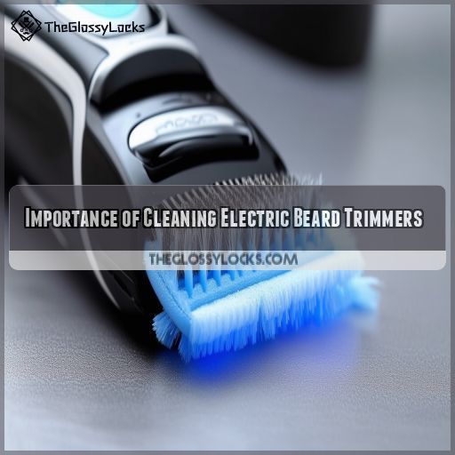 Importance of Cleaning Electric Beard Trimmers