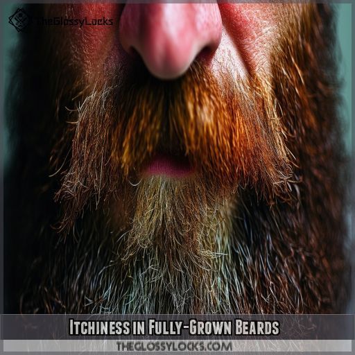 Itchiness in Fully-Grown Beards