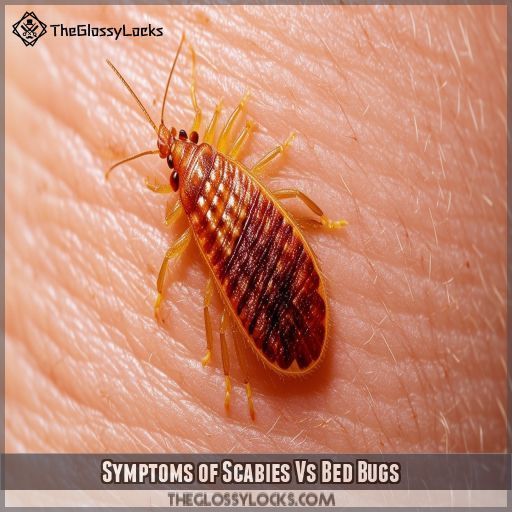 Scabies Vs Bed Bugs Key Differences In Symptoms Habitat And Treatment 5089