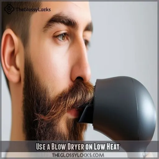 Use a Blow Dryer on Low Heat