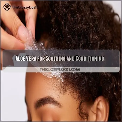 Aloe Vera for Soothing and Conditioning