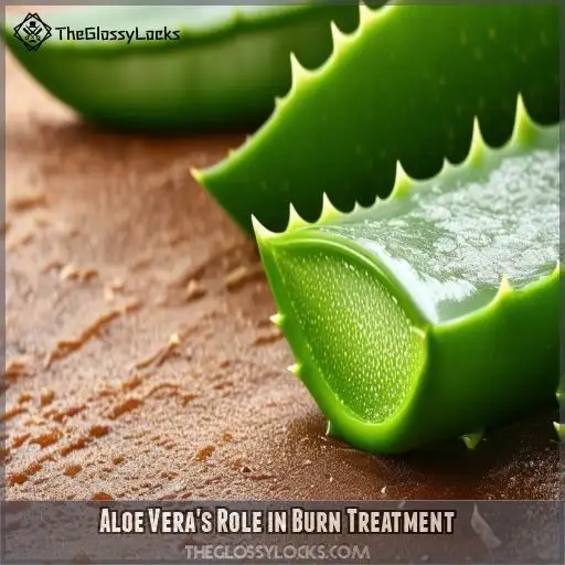 Aloe Vera's Role in Burn Treatment