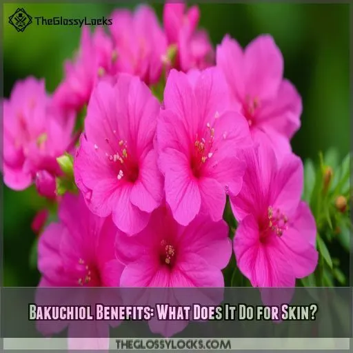 Bakuchiol Benefits: What Does It Do for Skin