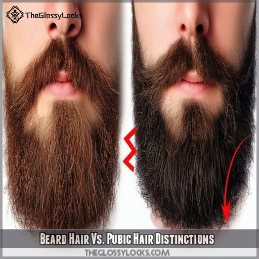 Beard Hair Vs. Pubic Hair Distinctions