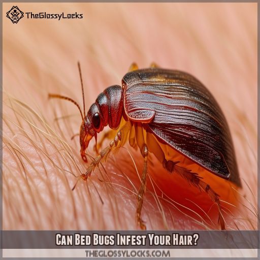 Can Bed Bugs Infest Your Hair