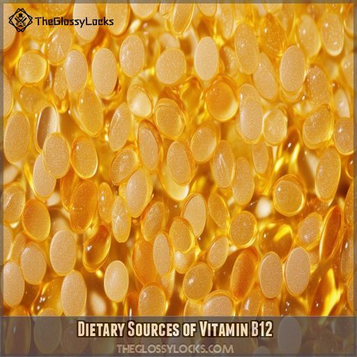 Dietary Sources of Vitamin B12