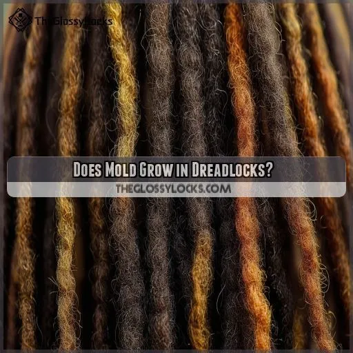 Does Mold Grow in Dreadlocks