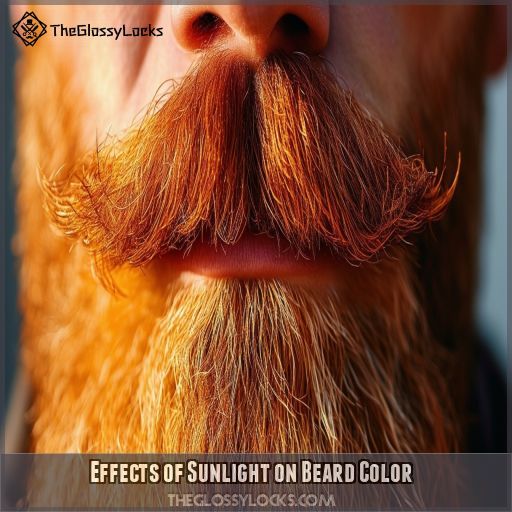 Effects of Sunlight on Beard Color