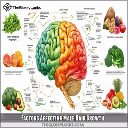 Factors Affecting Male Hair Growth