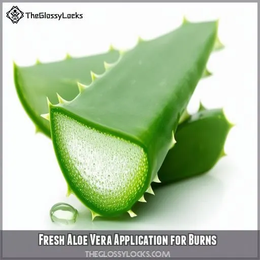 Fresh Aloe Vera Application for Burns