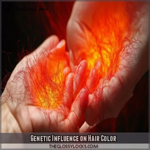 Genetic Influence on Hair Color