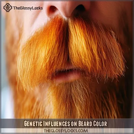 Genetic Influences on Beard Color