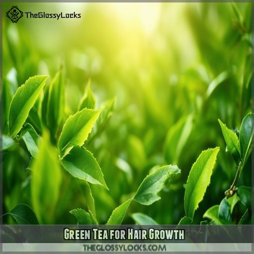 Green Tea for Hair Growth