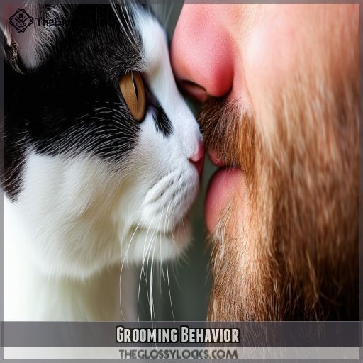 Grooming Behavior