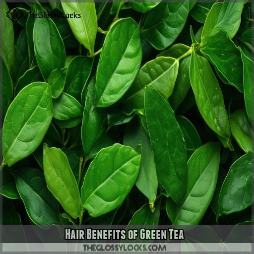 Hair Benefits of Green Tea