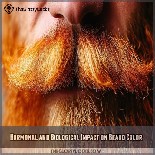 Hormonal and Biological Impact on Beard Color