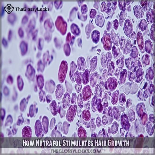 How Nutrafol Stimulates Hair Growth