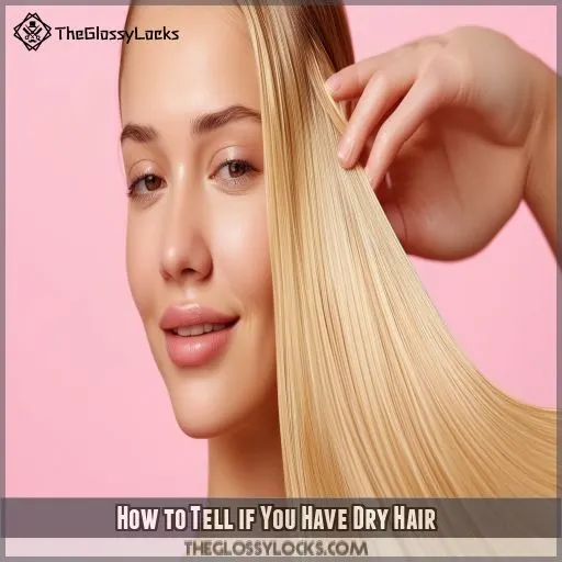 How to Tell if You Have Dry Hair