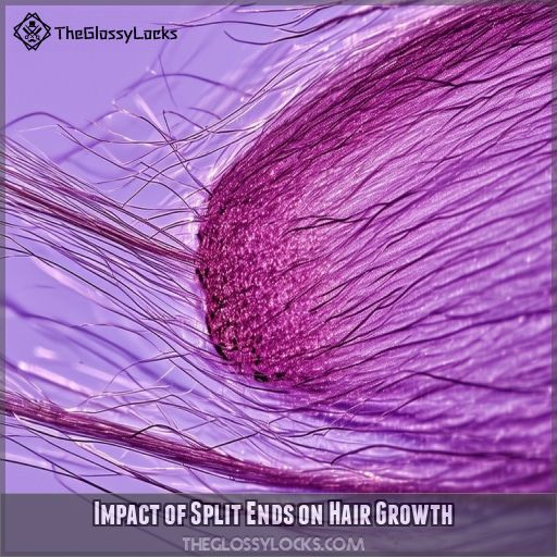 Impact of Split Ends on Hair Growth