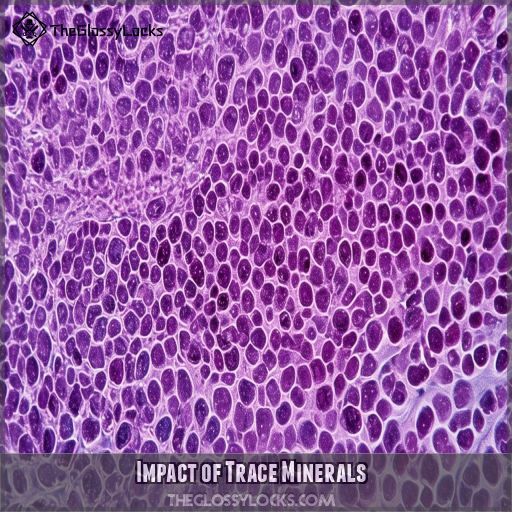 Impact of Trace Minerals