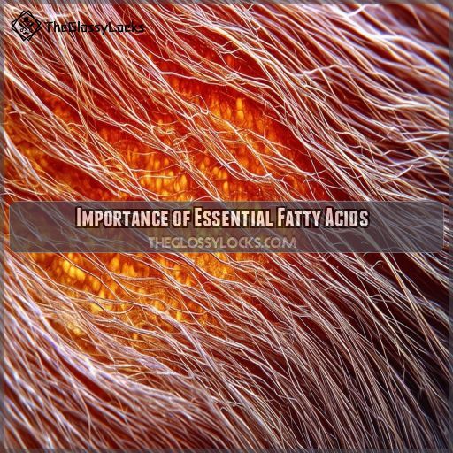 Importance of Essential Fatty Acids