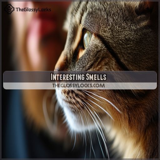Interesting Smells