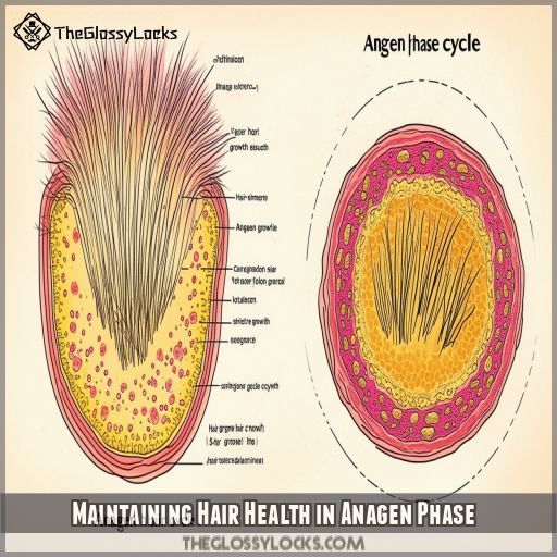 Maintaining Hair Health in Anagen Phase