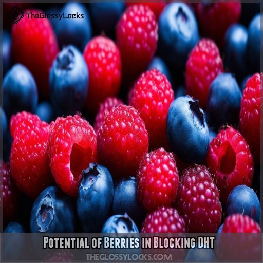 Potential of Berries in Blocking DHT