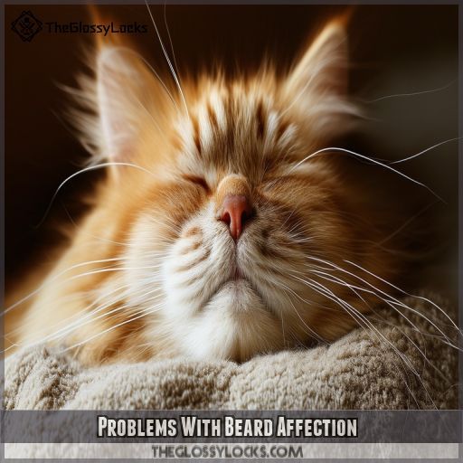 Problems With Beard Affection