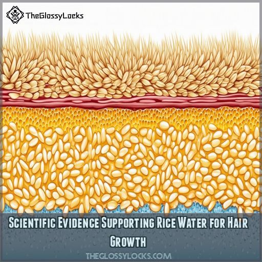 Scientific Evidence Supporting Rice Water for Hair Growth